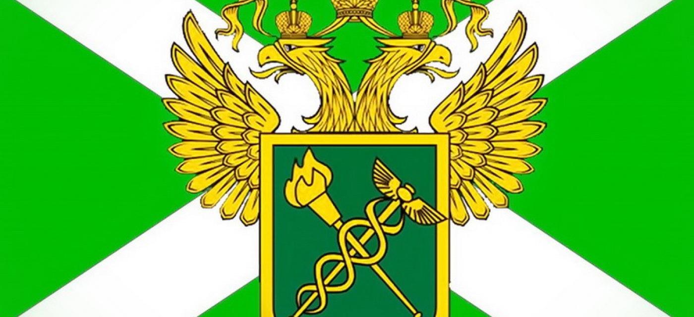 О включении в реестр таможенных представителей